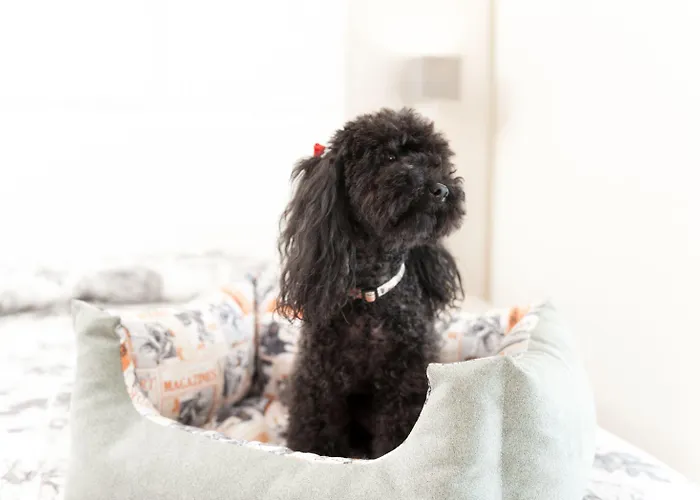 Battelli Only Adults 3*